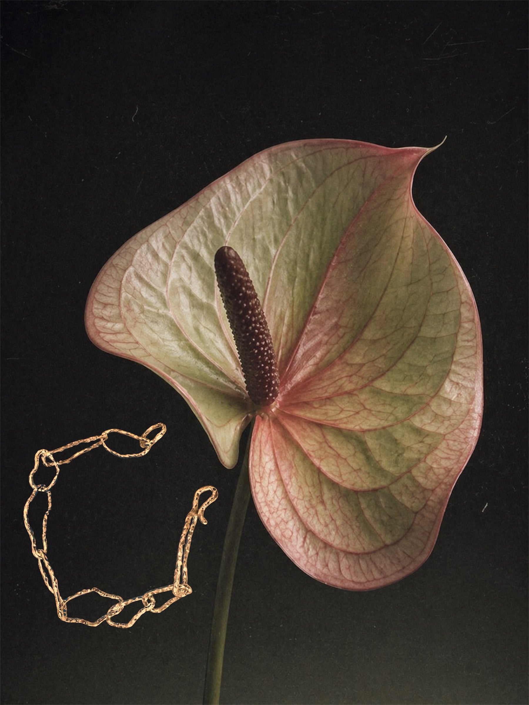 Chain bracelet - 14 kt gold