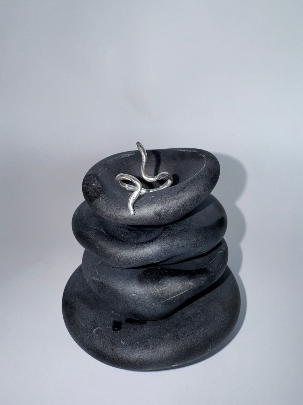 Spine ring – close-up