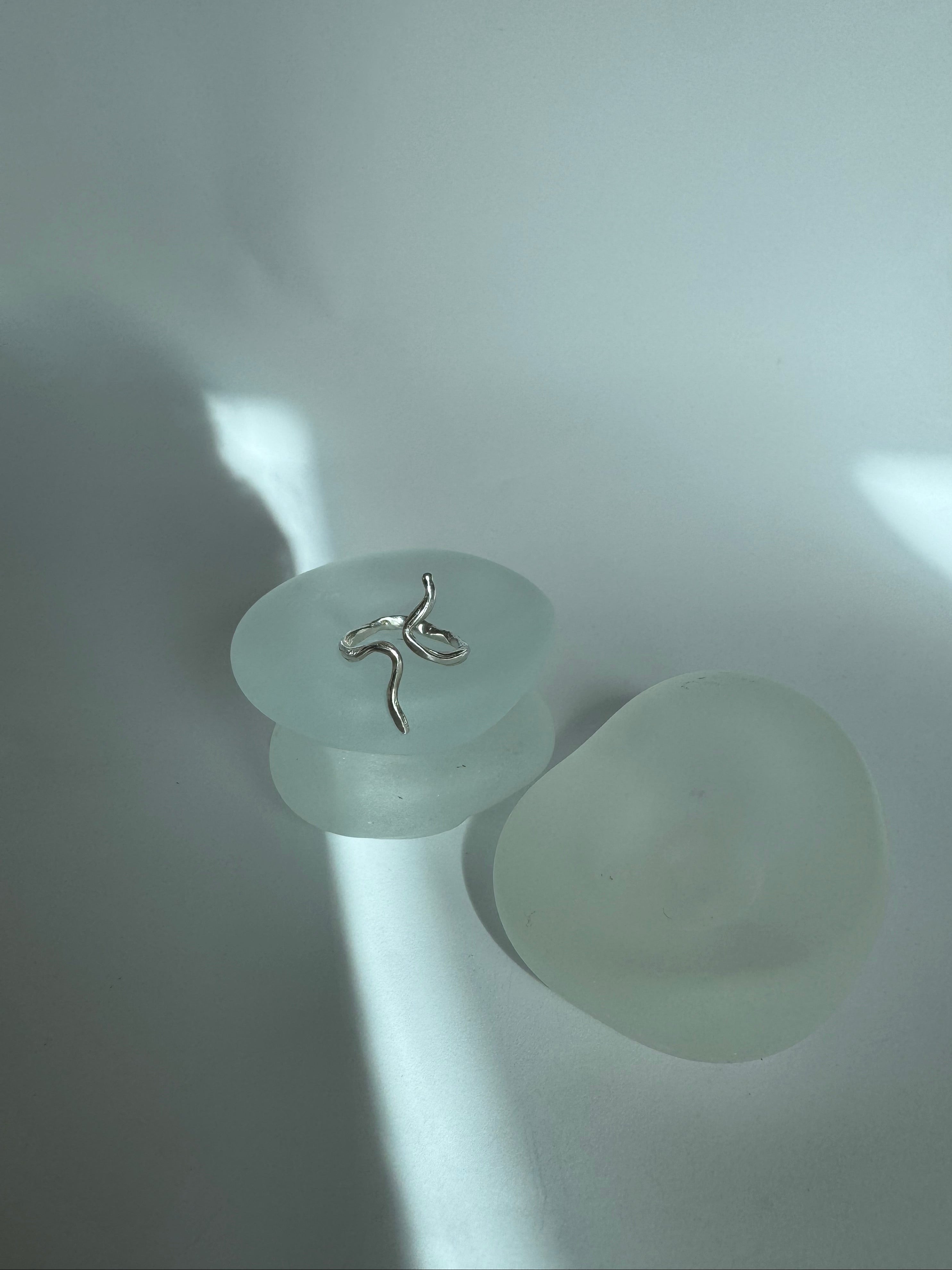 Spine ring – detail