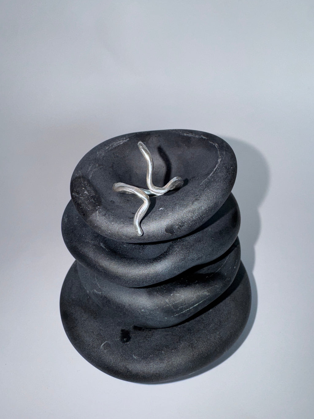 Spine ring