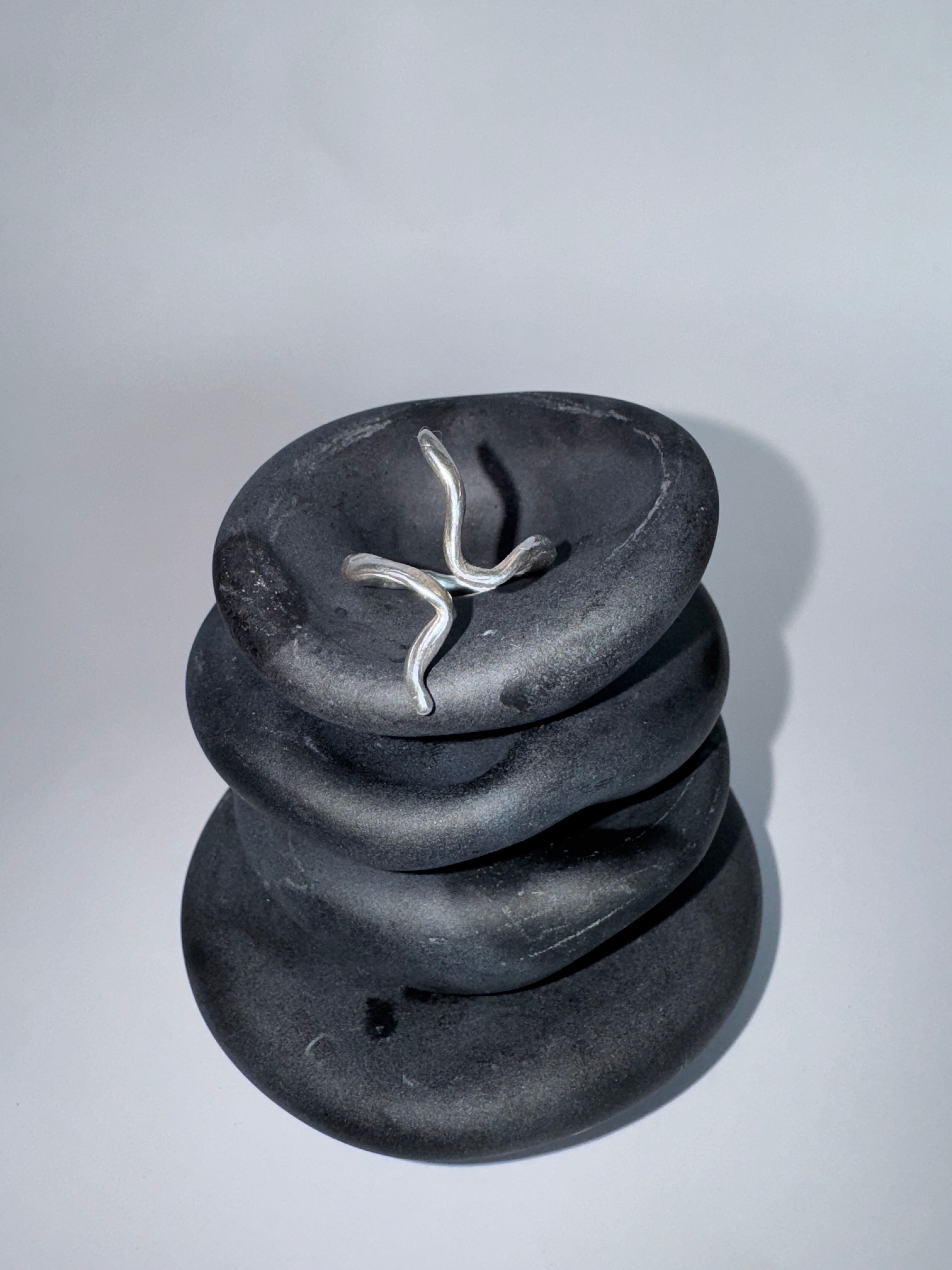 Spine ring
