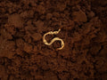 Tangle ring – 14 kt gold, close-up